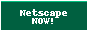 Netscape NOW!